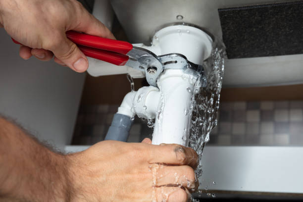 Best Mold removal after water damage  in Oakland, SC