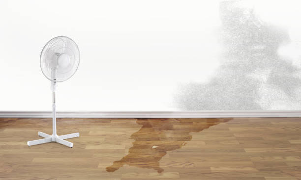 Best Water damage contractors near me  in Oakland, SC