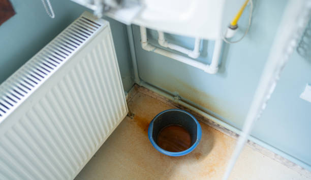 Best Water damage restoration process  in Oakland, SC
