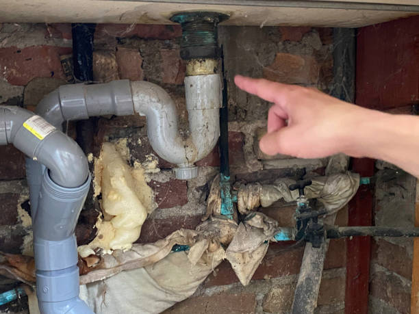 Best Flood damage cleanup  in Oakland, SC