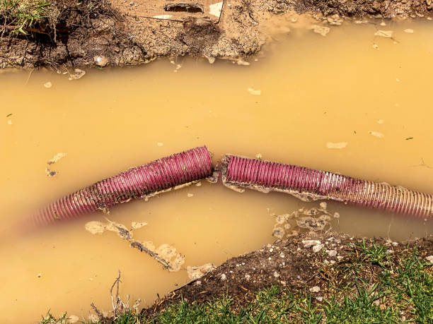 Water damage restoration process in Oakland, SC
