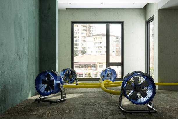 Best Water damage restoration near me  in Oakland, SC